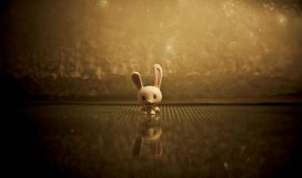 photo-1439436556258-1f7fab1bfd4f